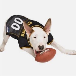 Pet Jersey for Pittsburgh Steelers Football Dog (or Cat) Size Medium M